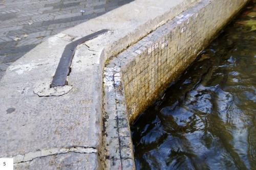 Fontana Siro Andrea Carli